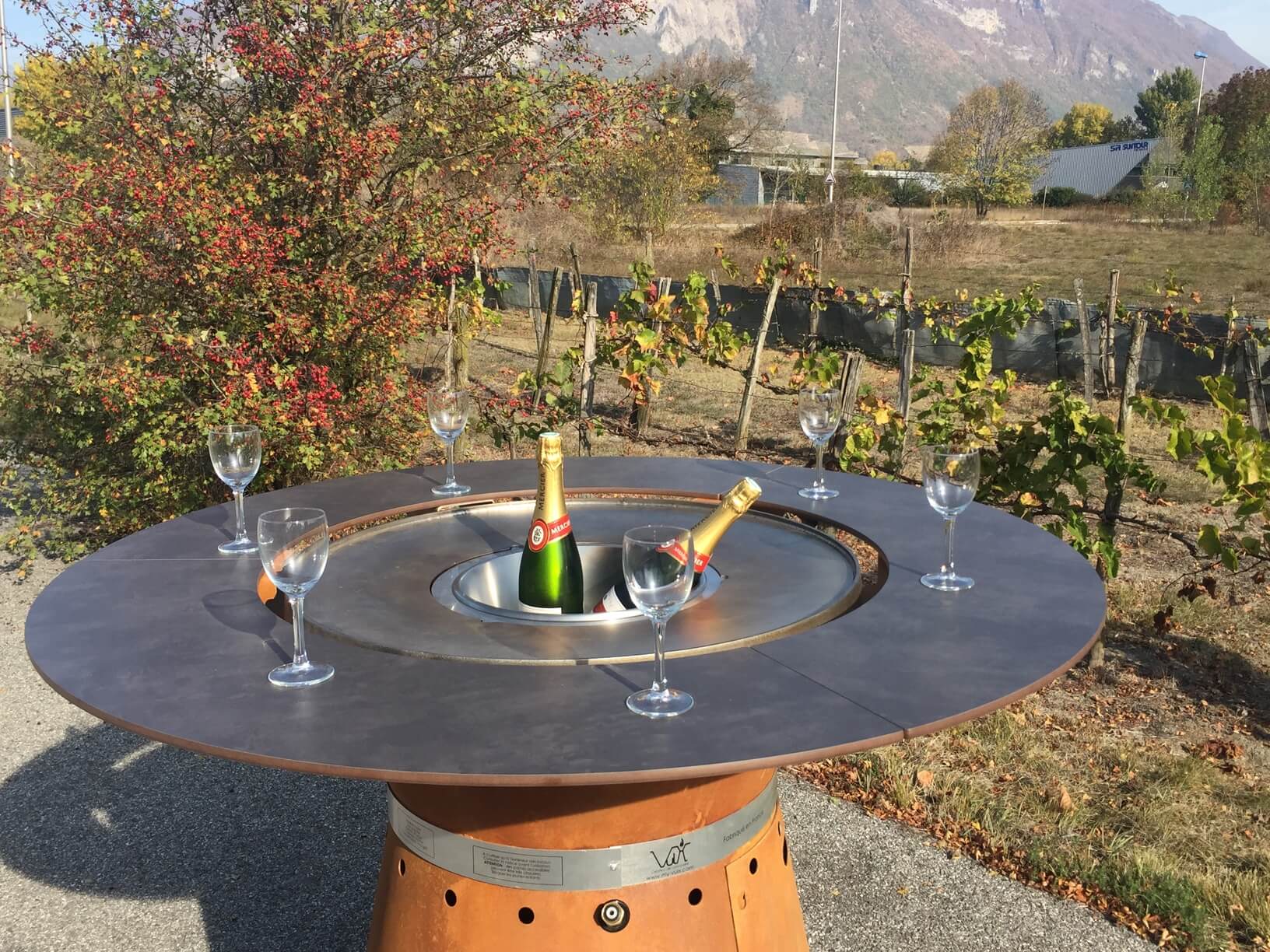 Champagnebowle til grillbord